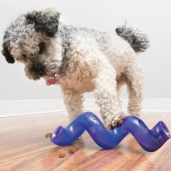 KONG Treat Spiral