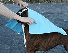 Absorbent and cooling towel