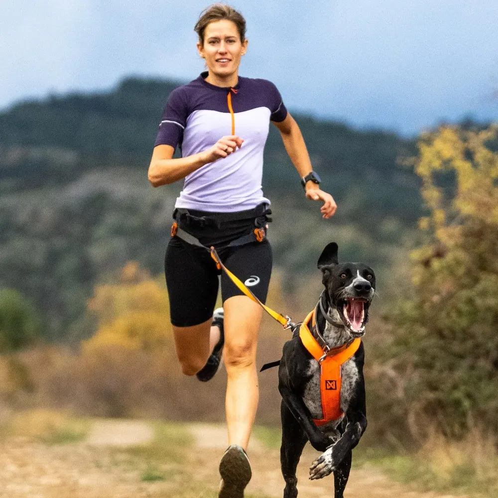 Non-stop dogwear Bungee leash - 5