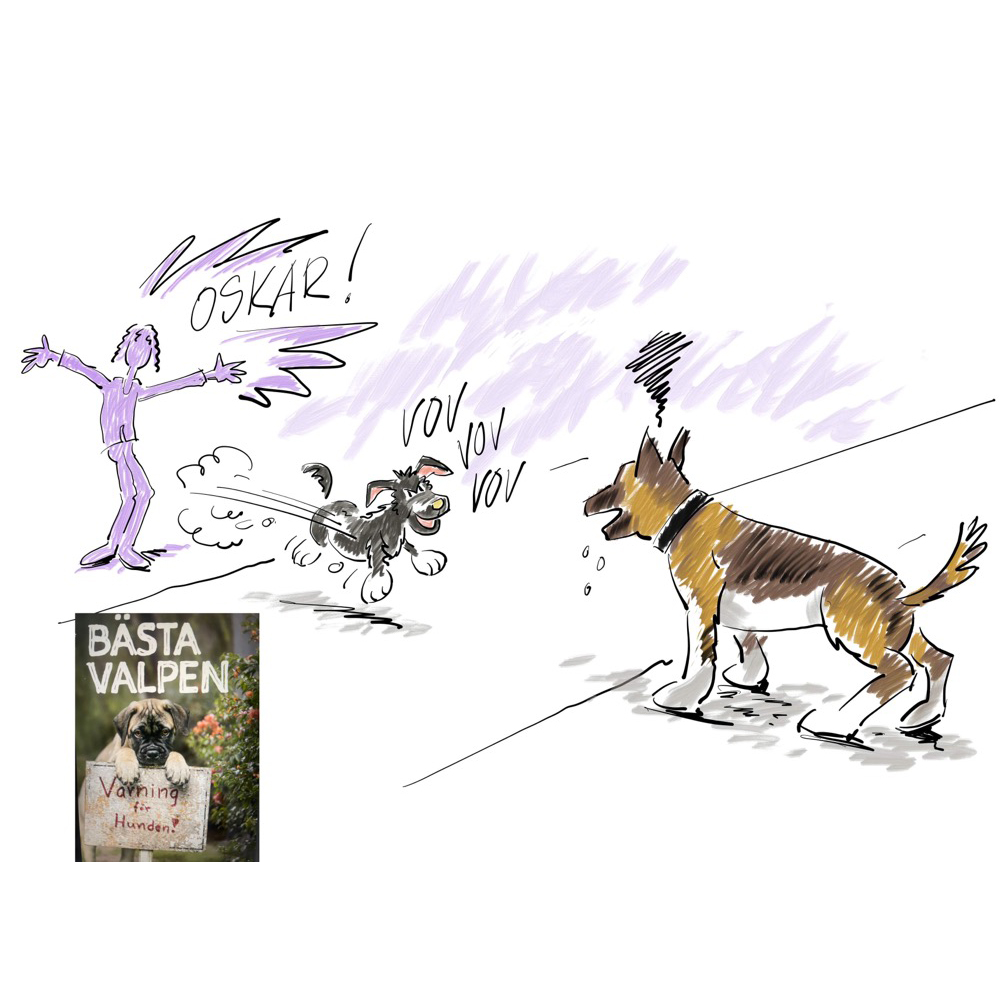 Bästa Valpen 