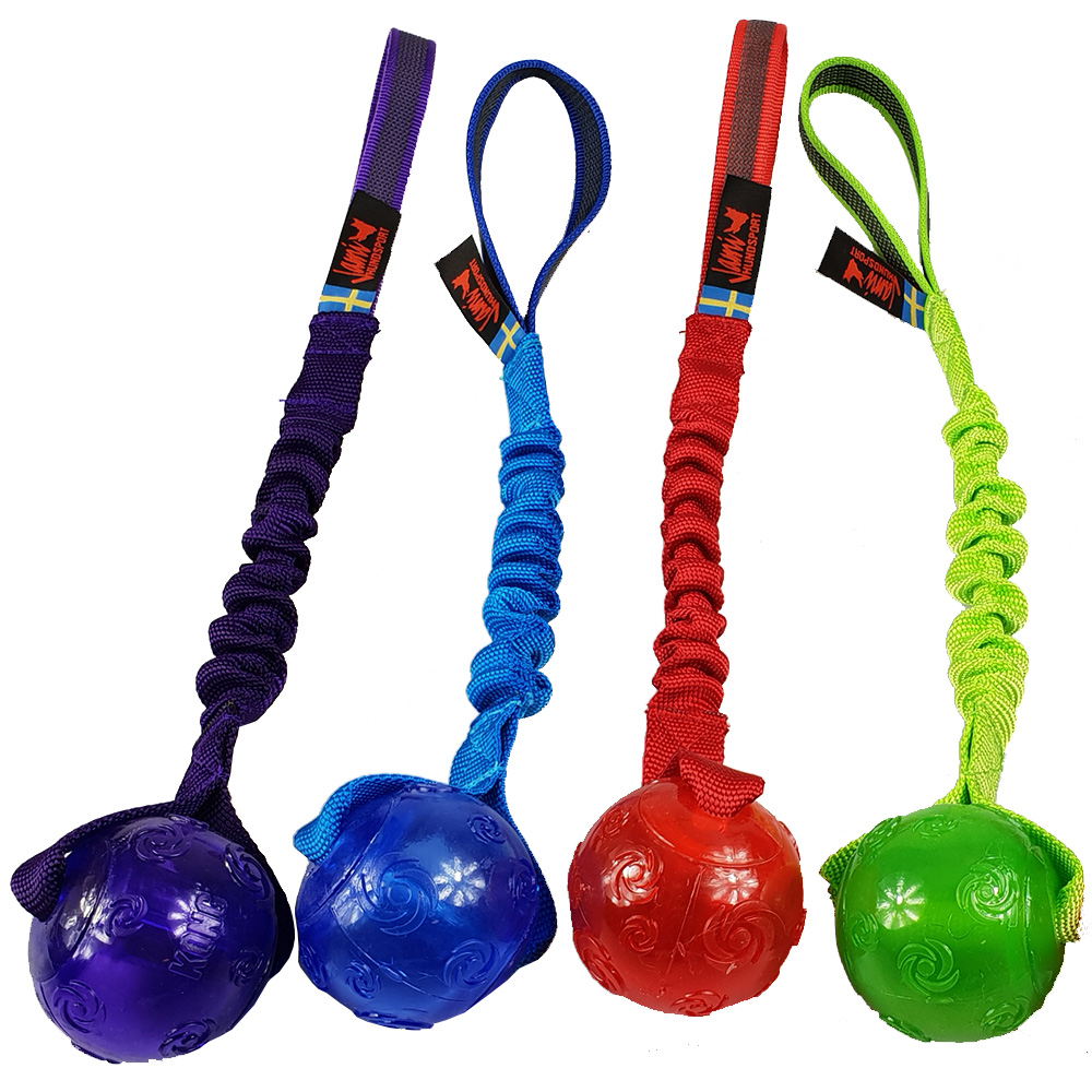 Kong ball on sale on a rope