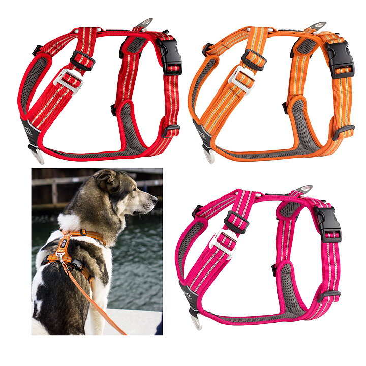 Sidst Mig selv slag The Comfort Walk Air™ harness from DOG Copenhagen - Jamihundsport