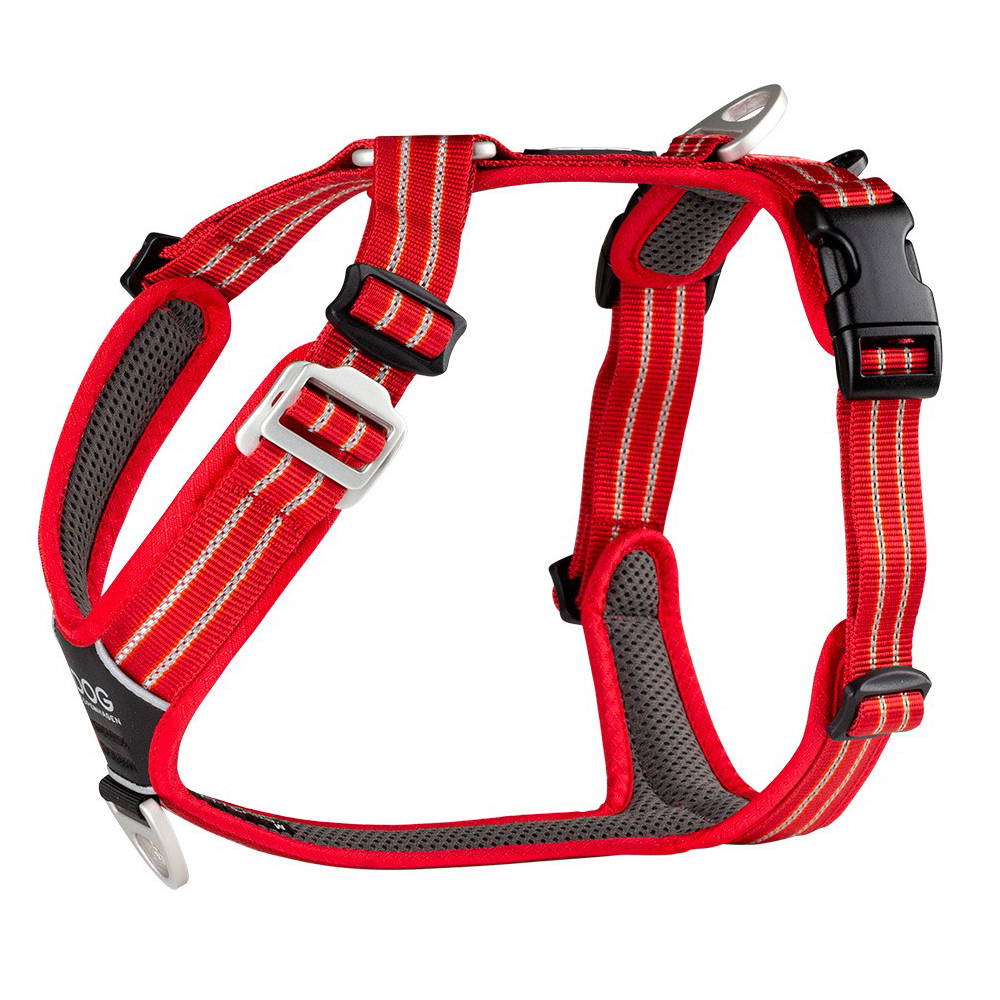 walk r cise harness