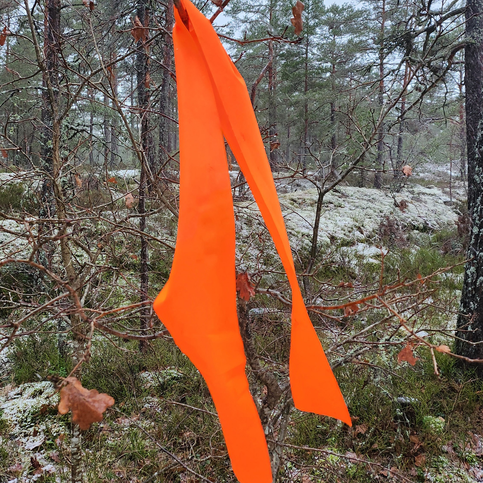 Wide marking ribbon - 4