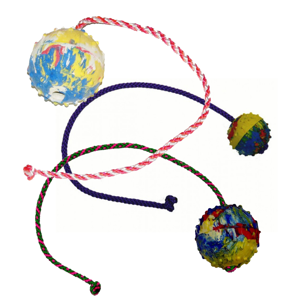 Gappay ball with rope - Jamihundsport