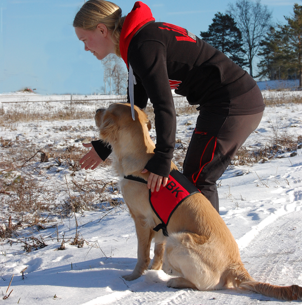 Sign for workingdog - 5