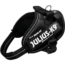 Julius K9 harness