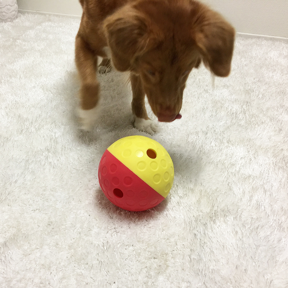 Treat Tumble