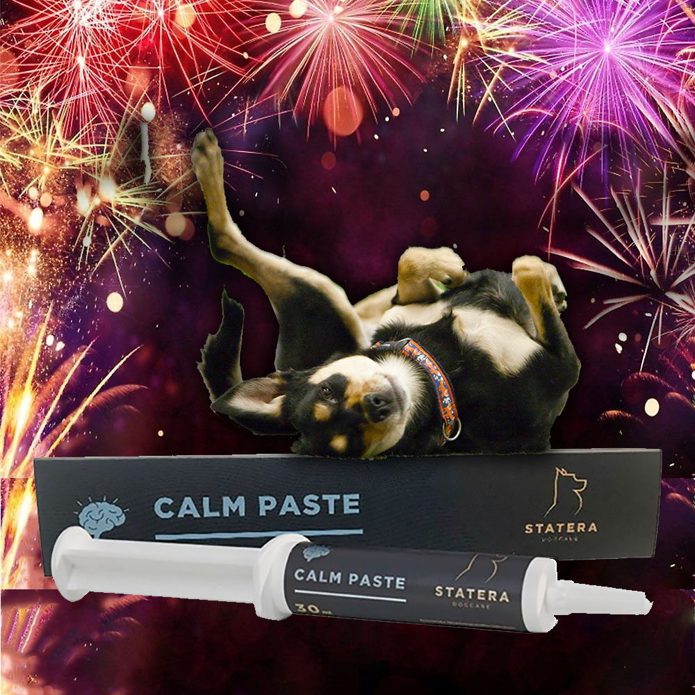 Statera Calm Paste