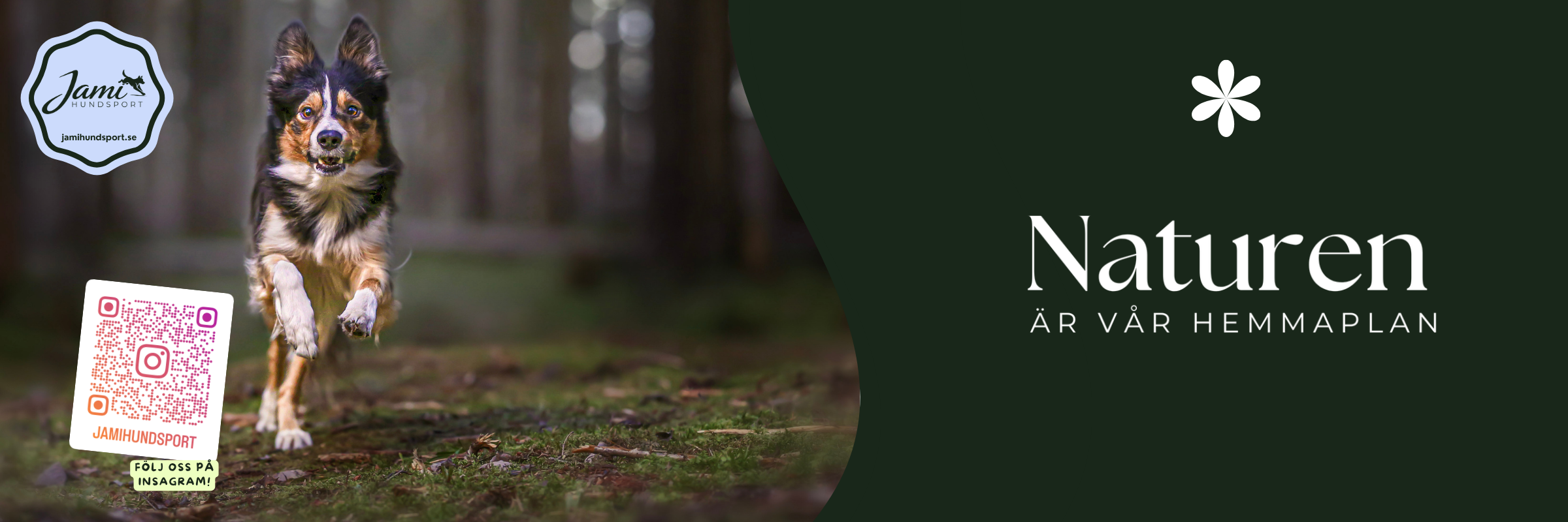 carousel-img-0
