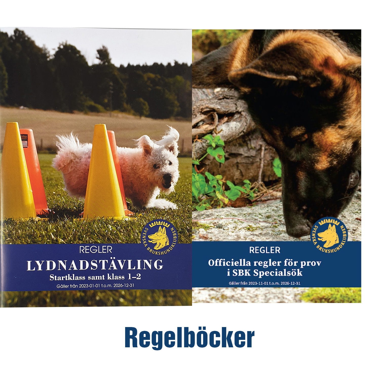 Regelböcker