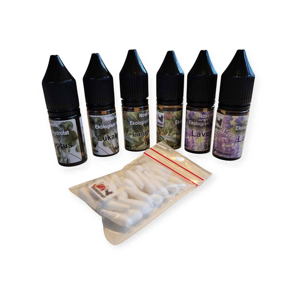 Scent Work