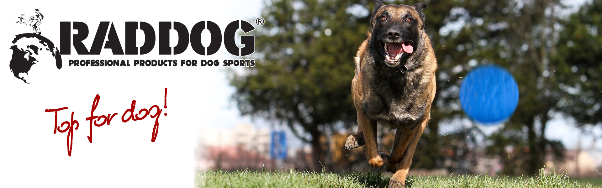 Raddog