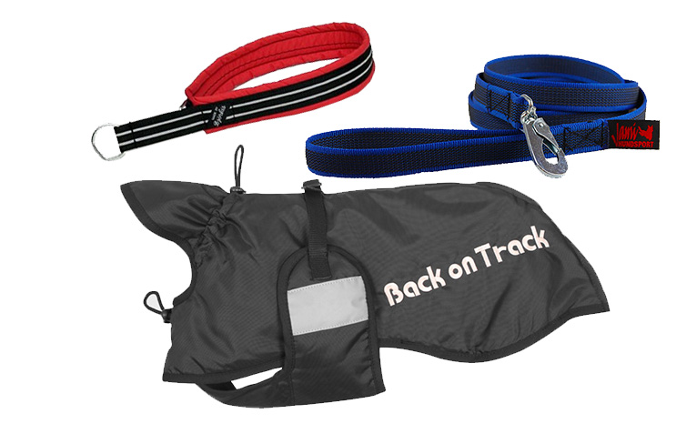 Leash, Collars, Dog Coats & Life Vests