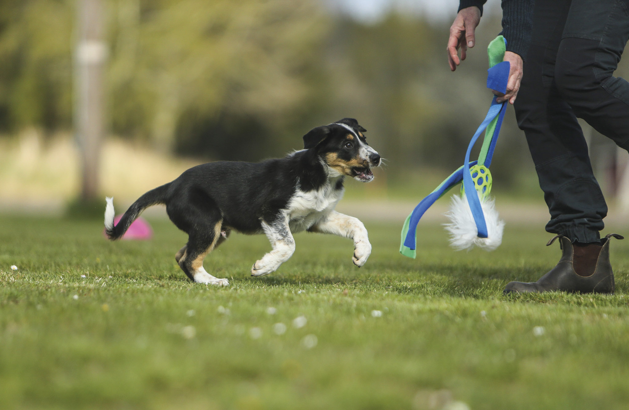 Tug & Play
