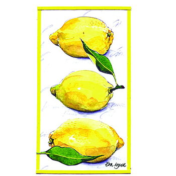 Braständstickor Citroner 