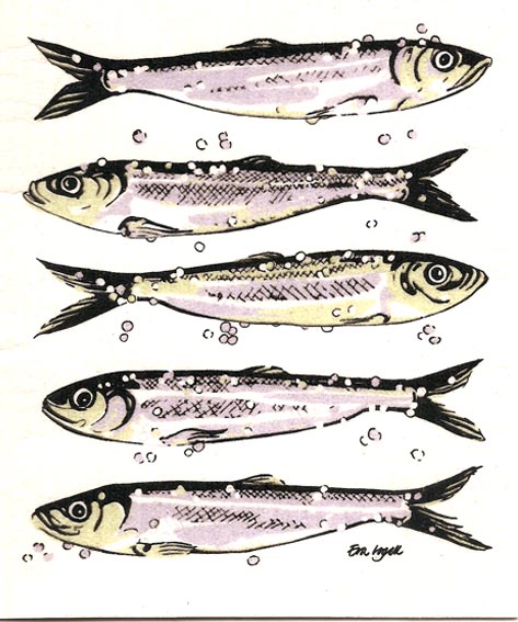 Disktrasa Strömming  