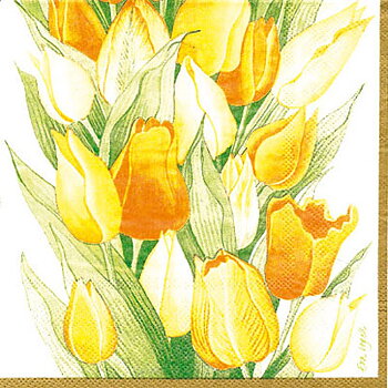 Tulpan gul/orange Kaffeservett, 20 servetter/fp
