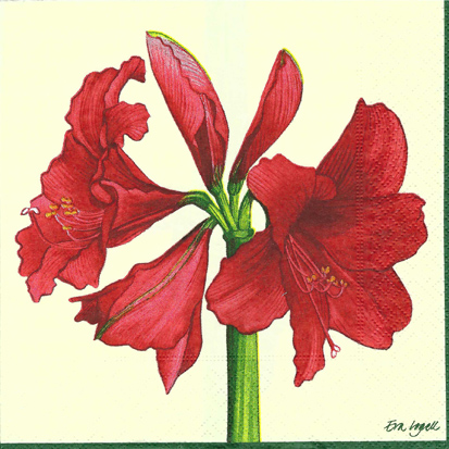 Amaryllis röd Lunchservett, 20 servetter/pk