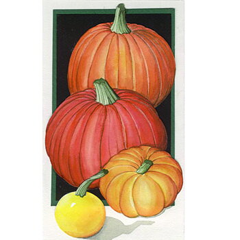 Pumpa Towelservett, 20 servetter/fp