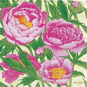 Peon rosa  Kaffeservett, 20 st/fp