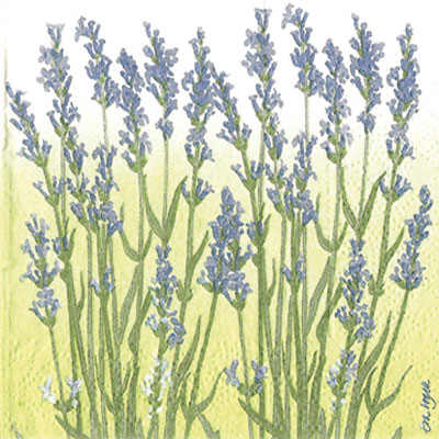 Lavendel blå  Kaffeservett, 20 servetter/fp