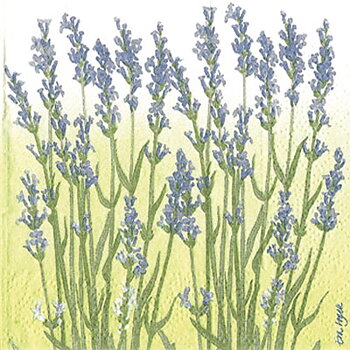 Lavendel blå  Kaffeservett, 20 servetter/fp