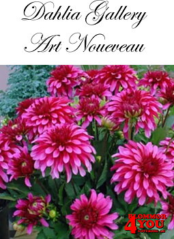 Dahlia Art Noueveau