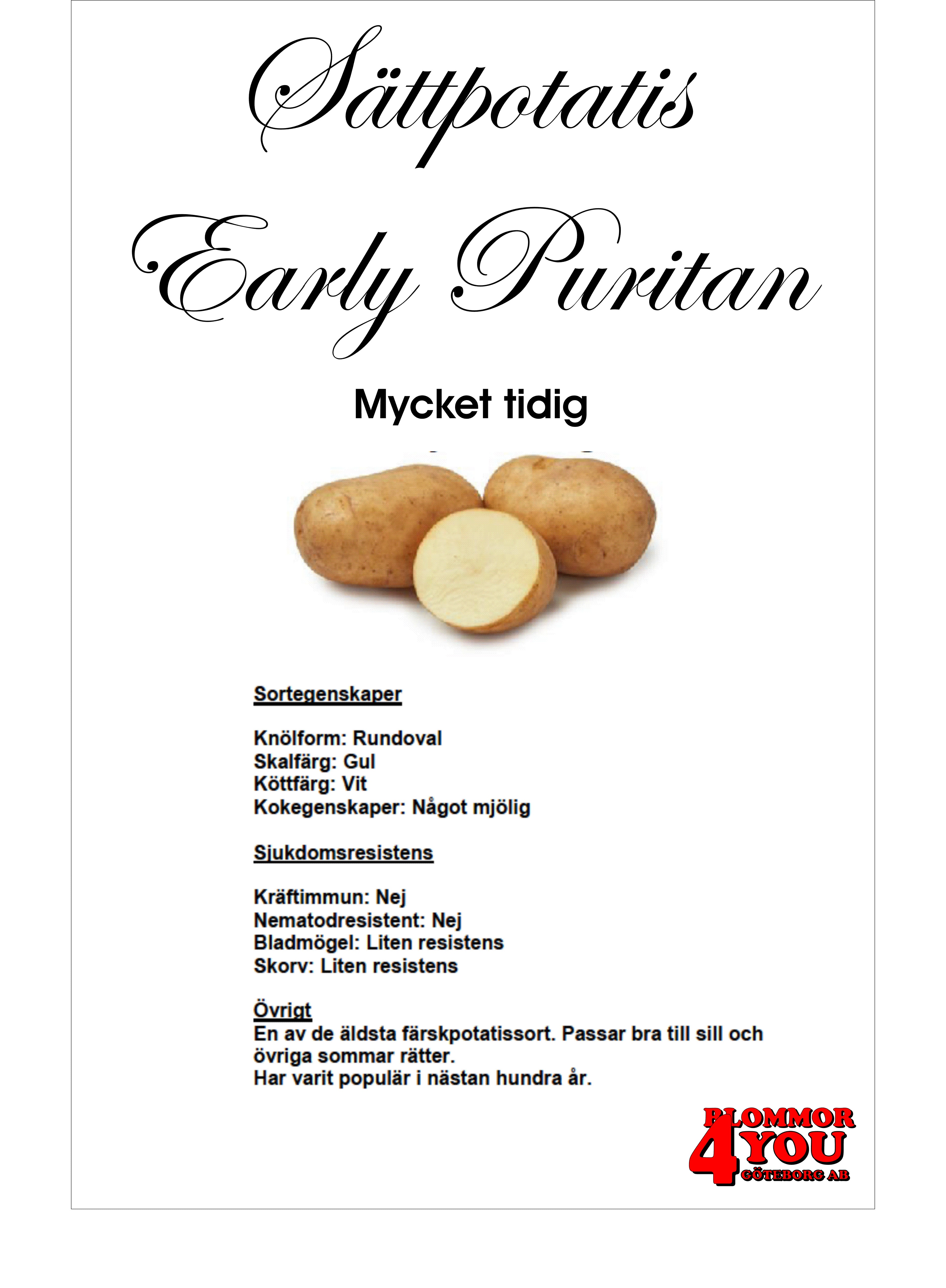 Sättpotatis Early Puritan 3 Kilo