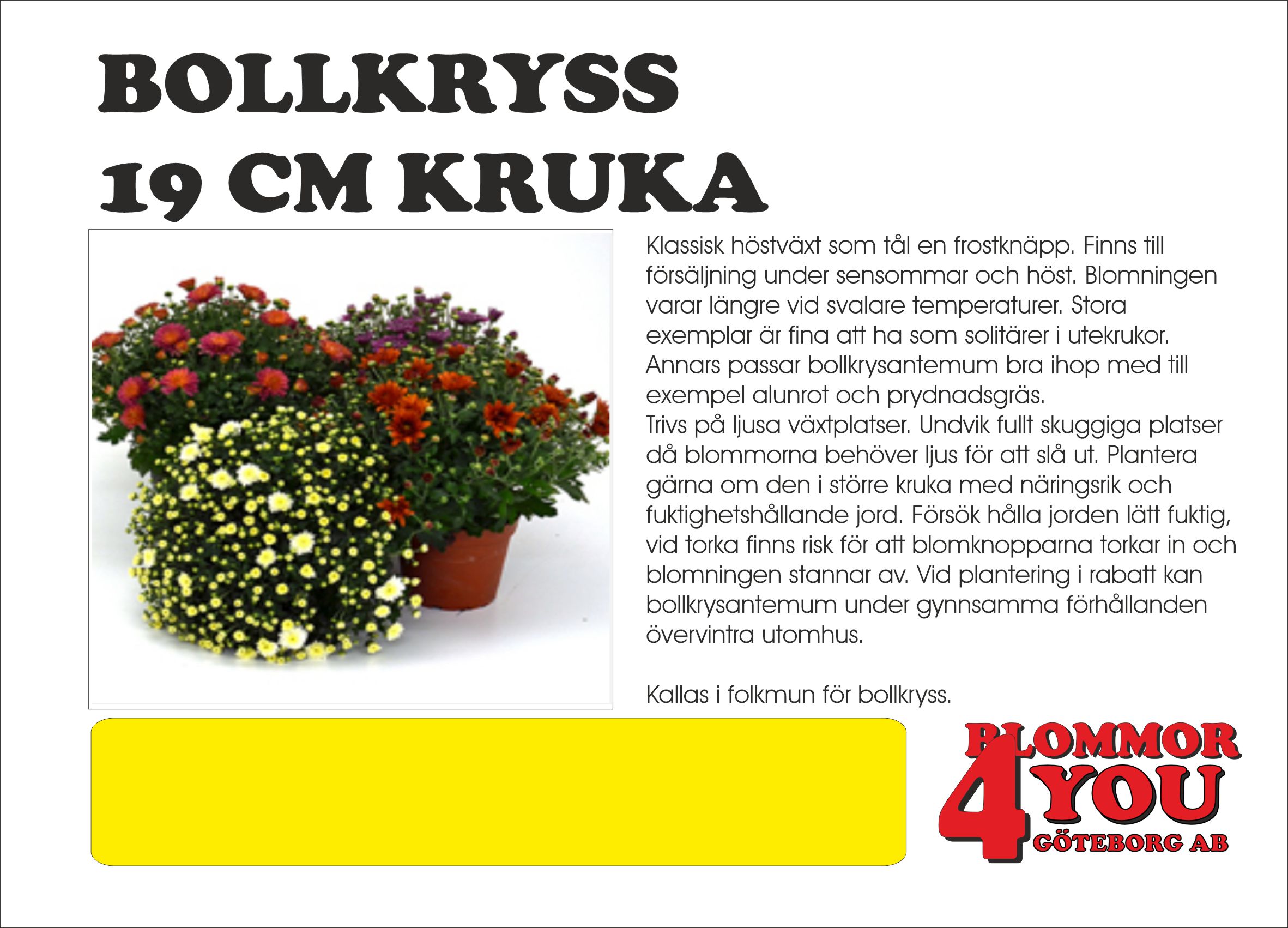 BOLLKRYSS  19 CM KRUKA  , Ø 45+,