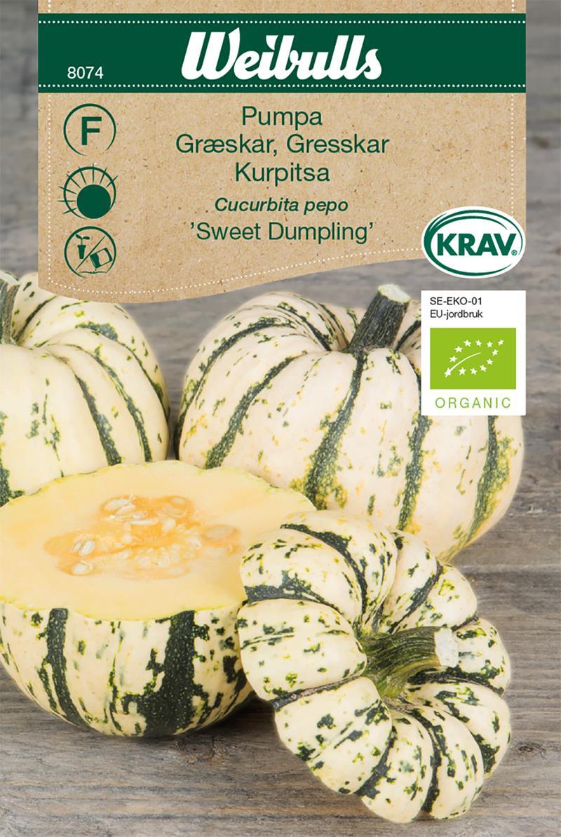 8074 Pumpa KRAV   Cucurbita pepo