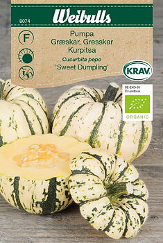 8074 Pumpa KRAV   Cucurbita pepo