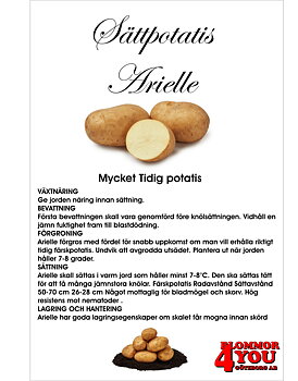 Sättpotatis Arielle 3 Kilo