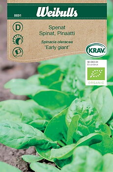8691 Spenat KRAV Vroeg Reuzenblad    Spinacia oleracea
