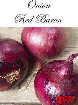 Röd Sättlök Red Baron Nätpåse 250g