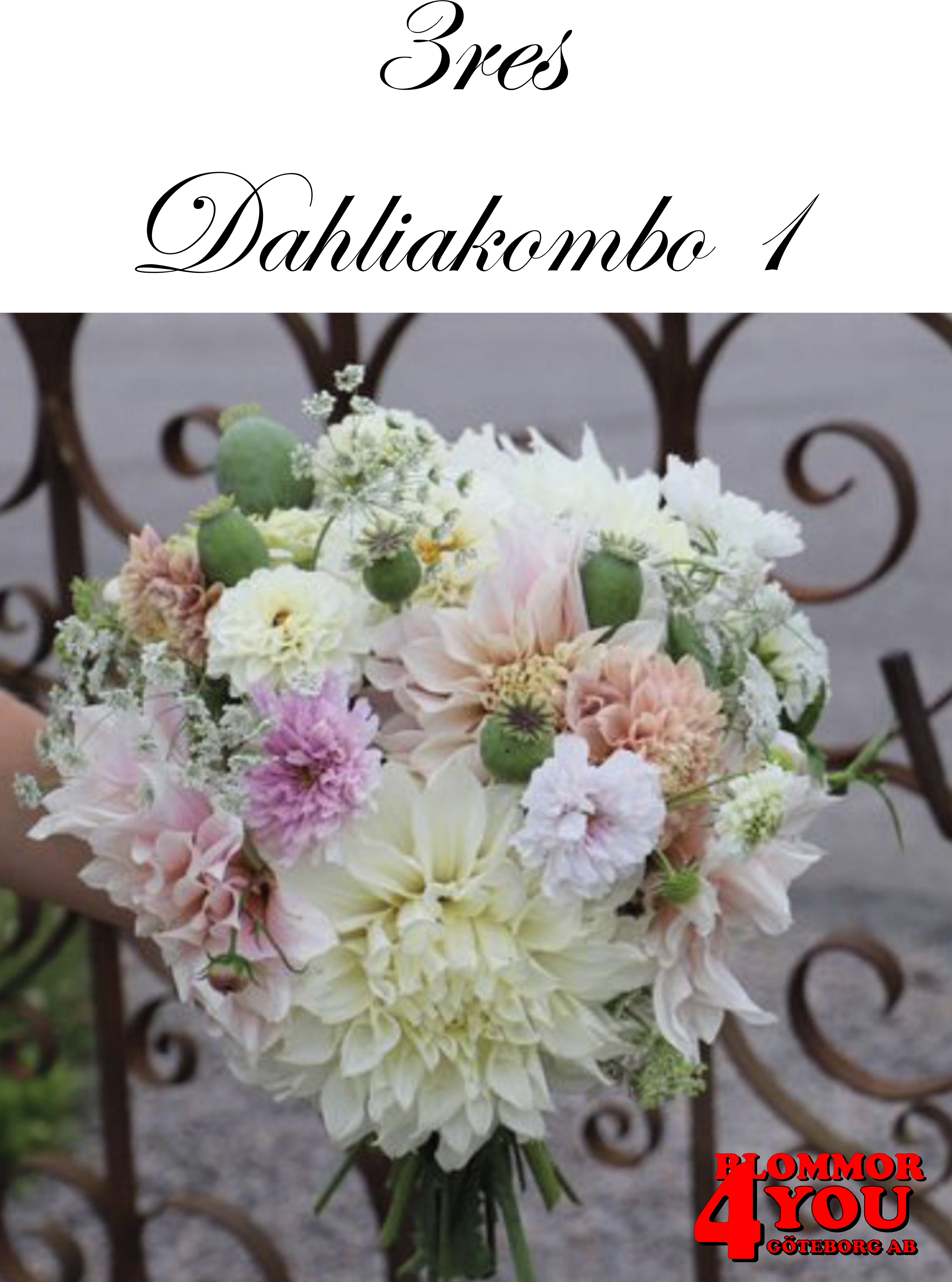 3res Dahliakombo 1 Stora