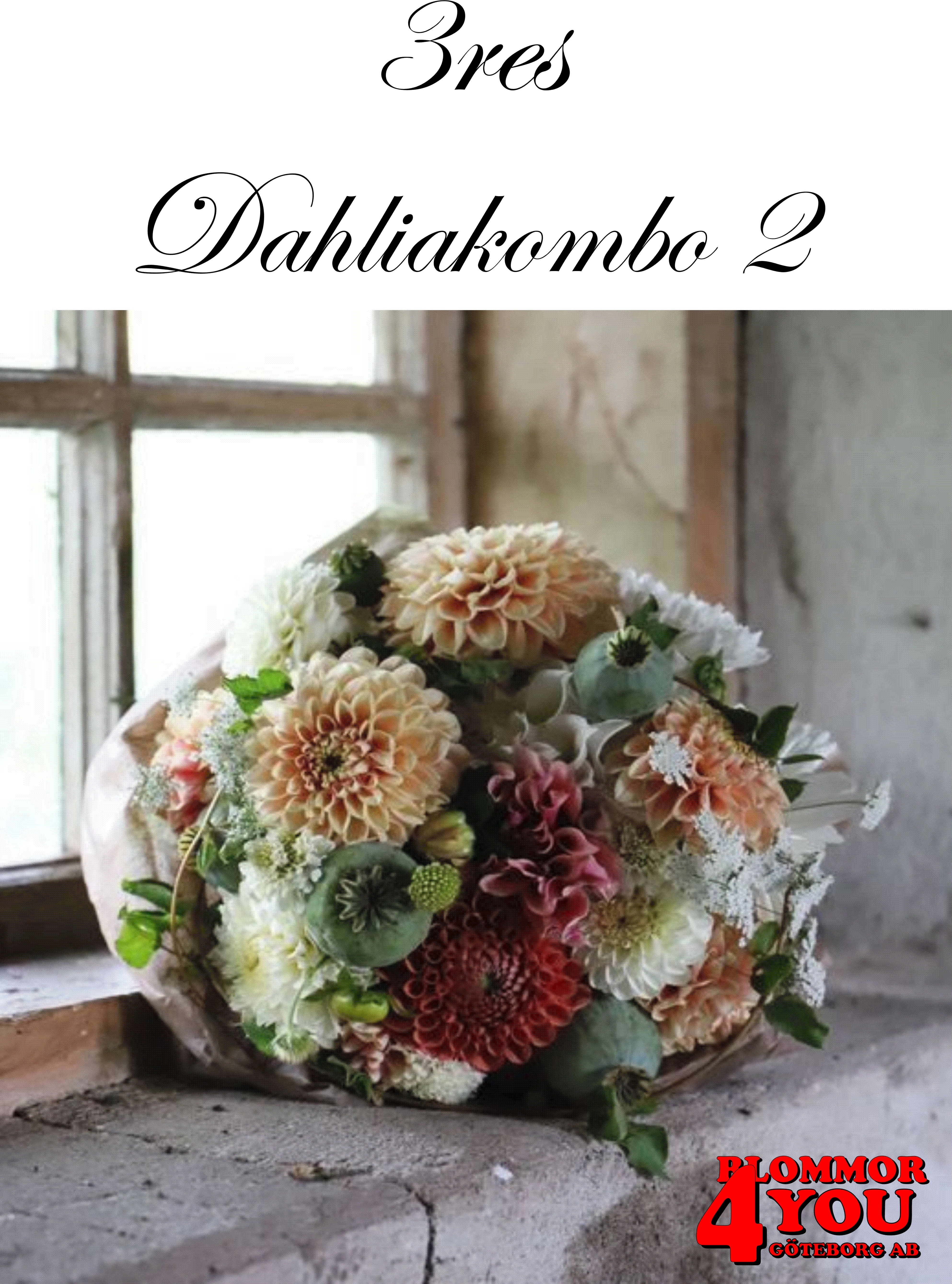 3res Dahliakombo 2 Stora