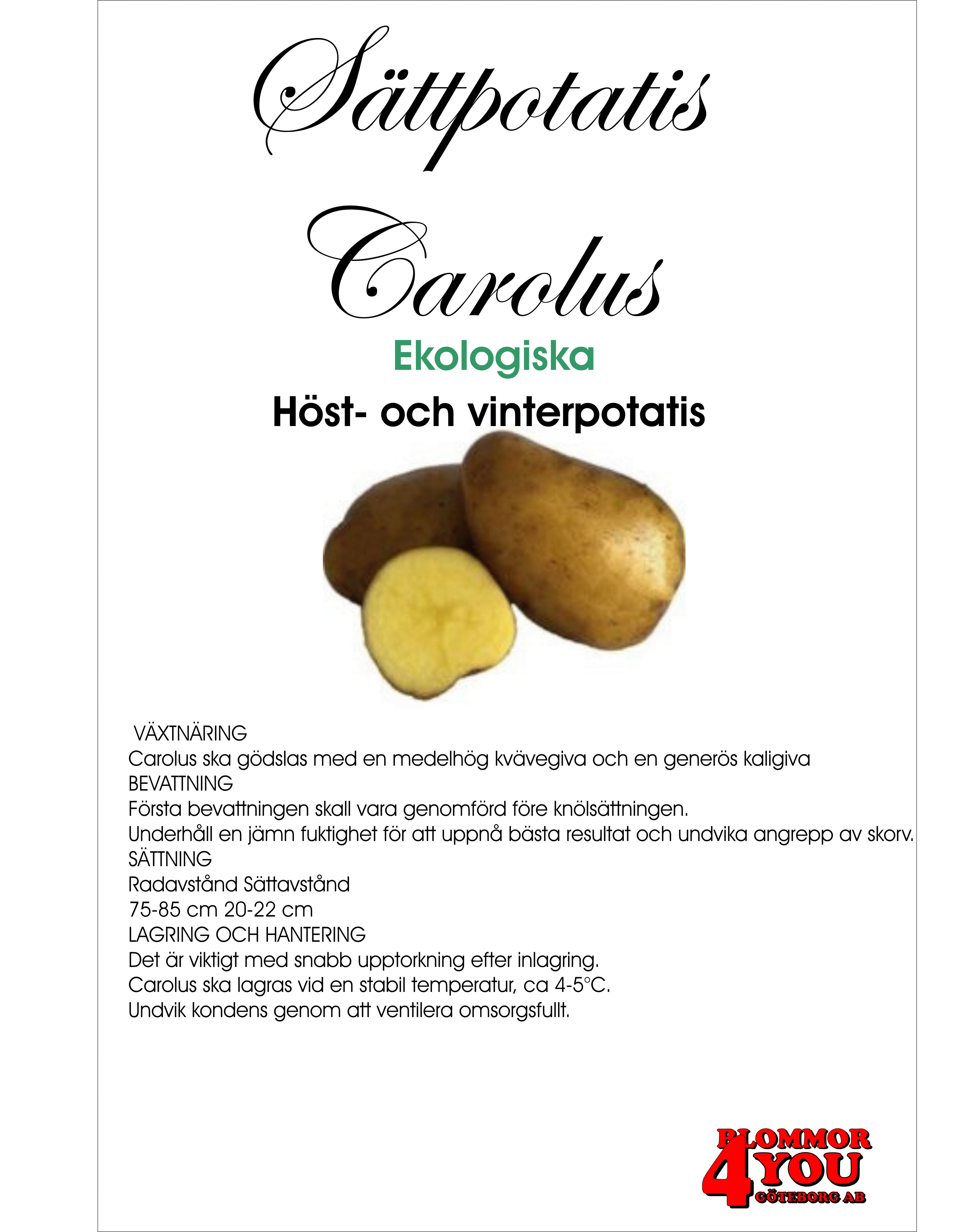 Sättpotatis Carolus Eko 3Kilo