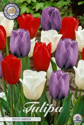 81090   DUTCH GARDEN       GARDENMIX TULPAN