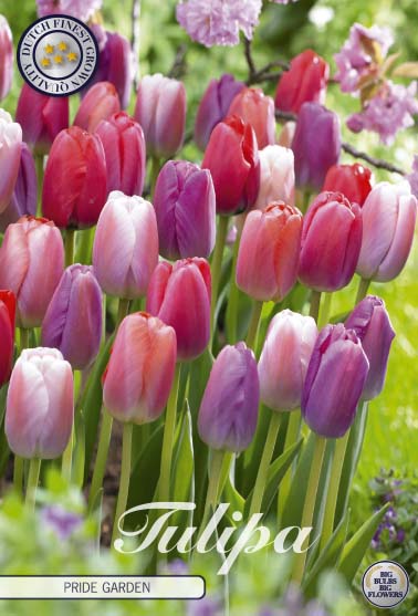 81132PRIDE GARDEN    GARDENMIX TULPAN