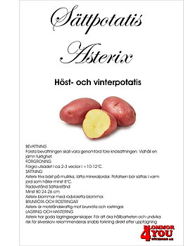 Sättpotatis Asterix  3 Kilo
