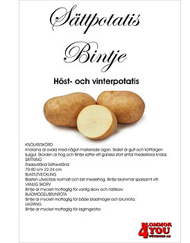 Sättpotatis Bintje 3 Kilo
