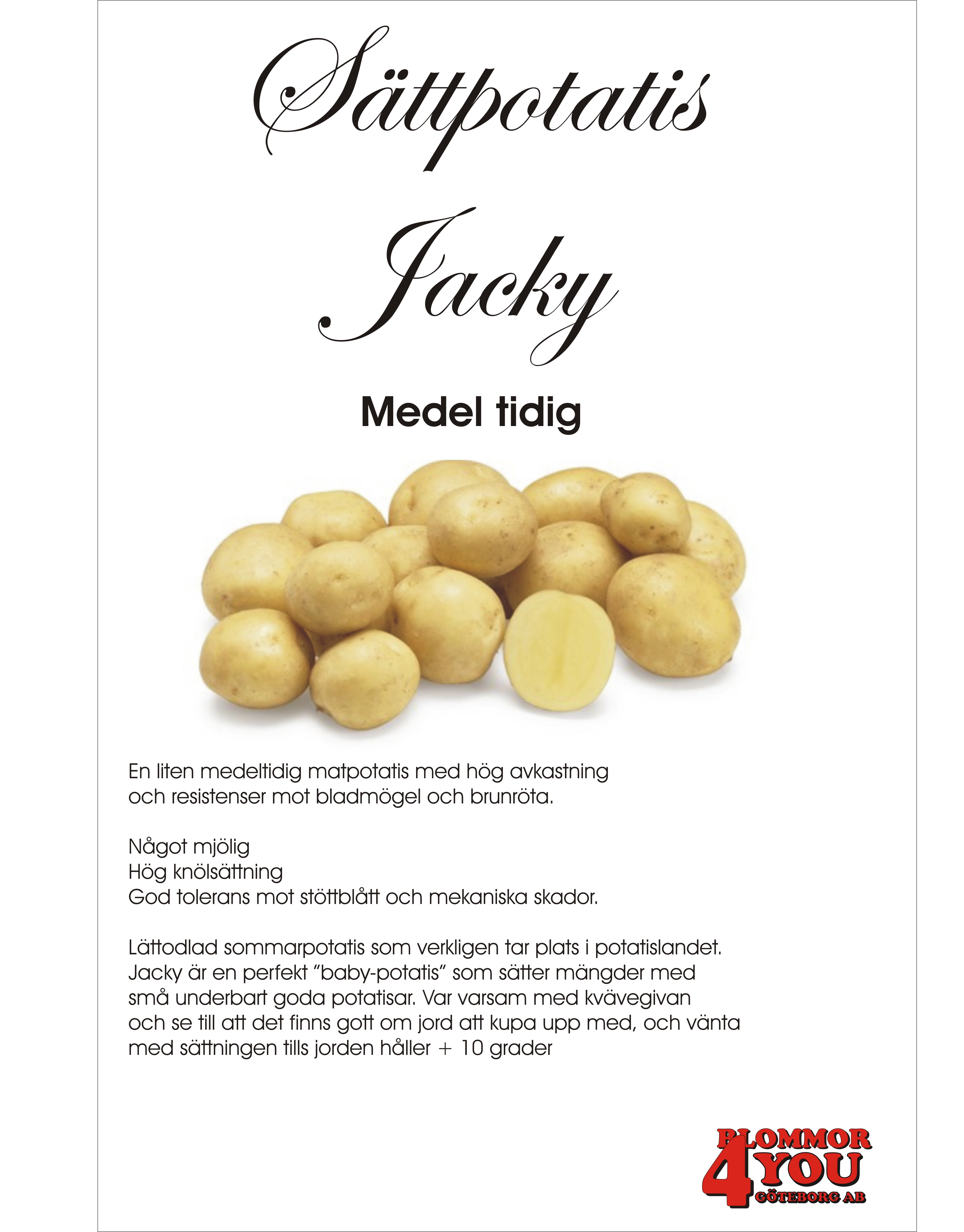 Sättpotatis Jacky 1 Kilo