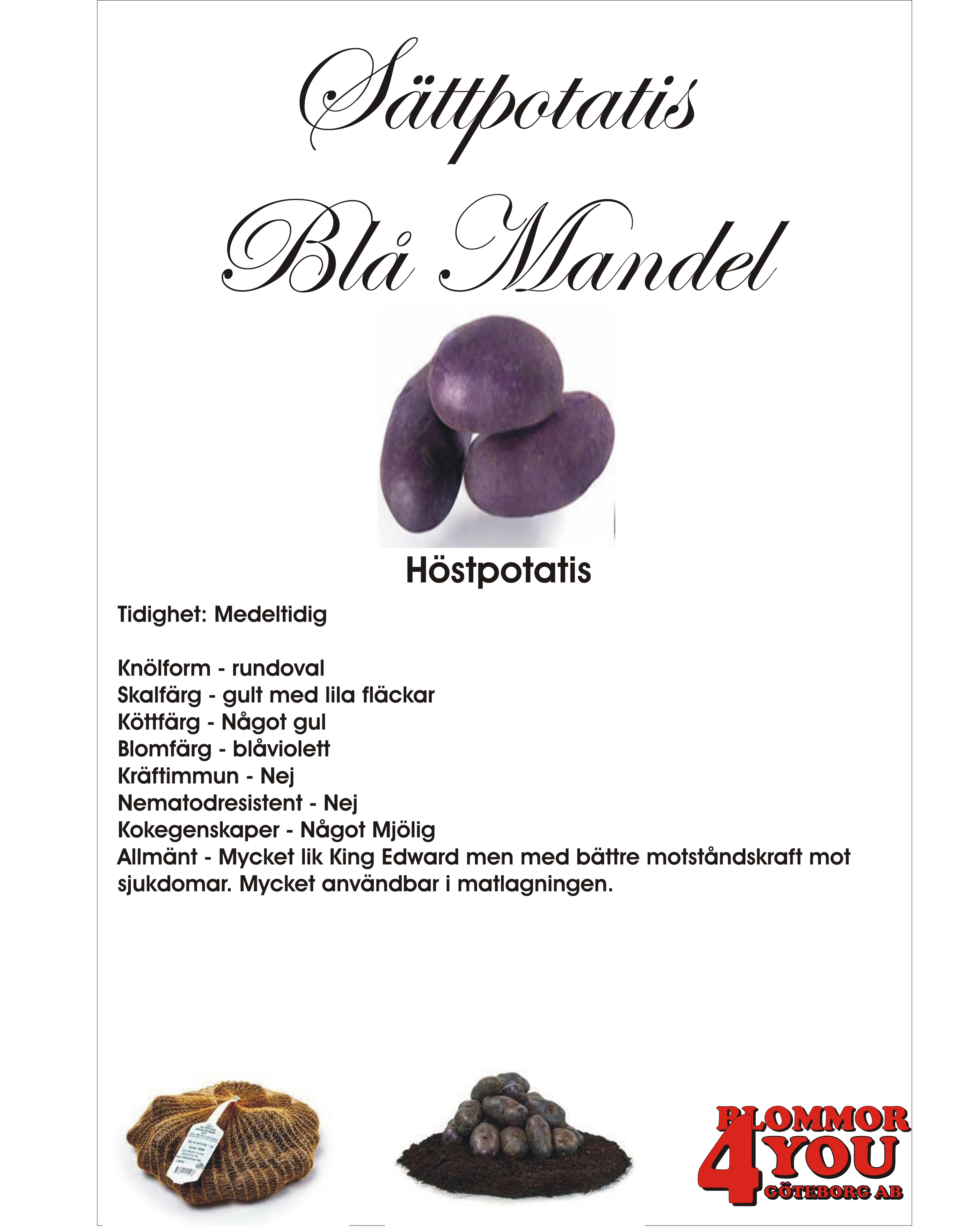 Sättpotatis Blå Mandel (Lila/blått skal, gult kött) 1 Kilo