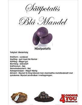 Sättpotatis Blå Mandel (Lila/blått skal, gult kött) 1 Kilo