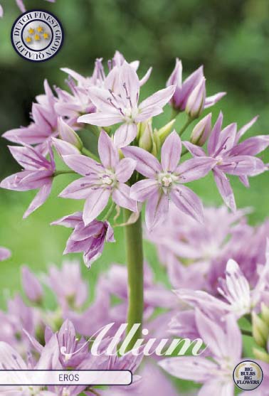 84020  EROS    ALLIUM