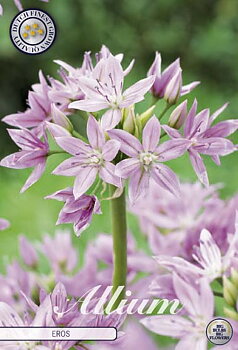 84020  EROS    ALLIUM