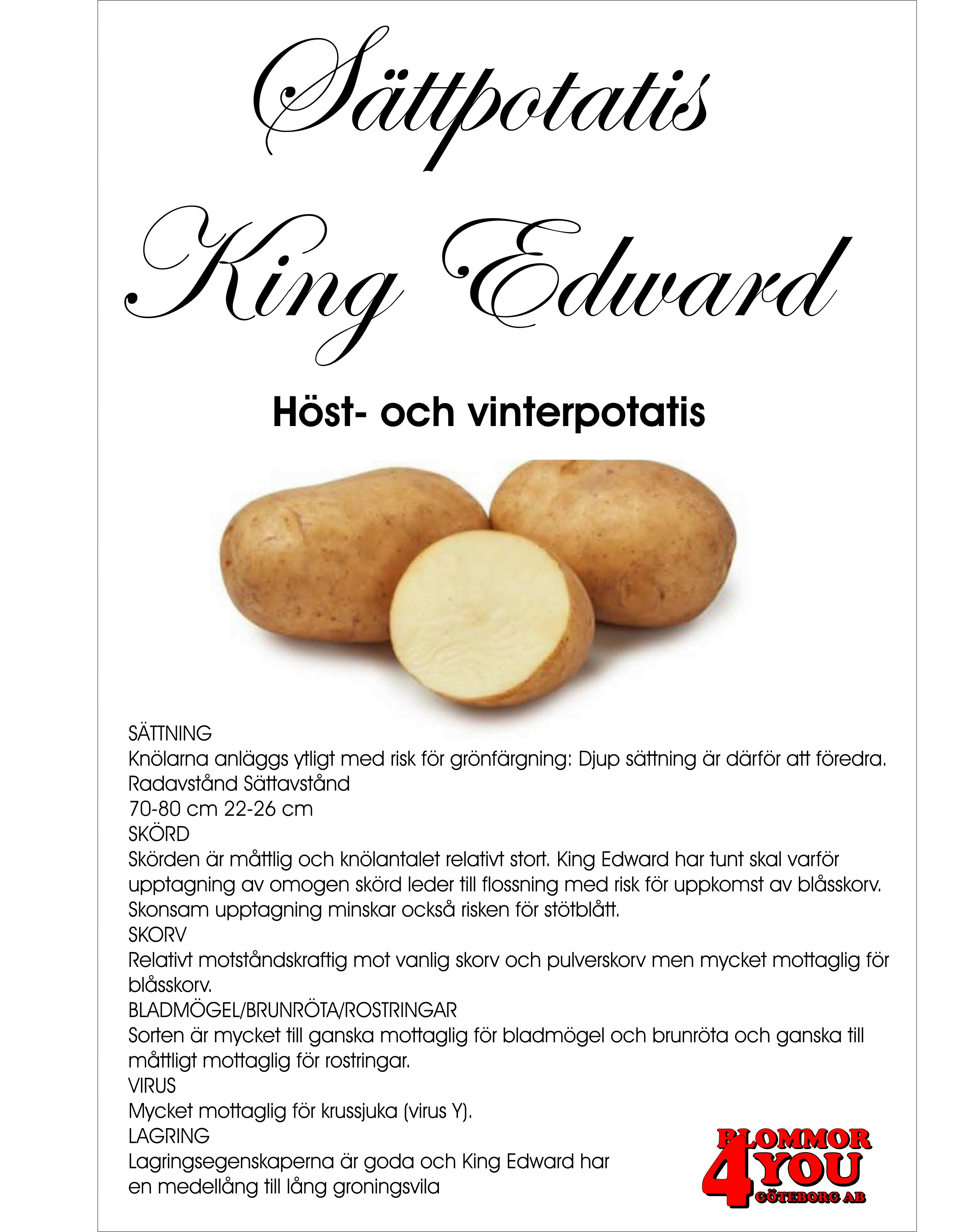 Sättpotatis King Edward    1 Kilo