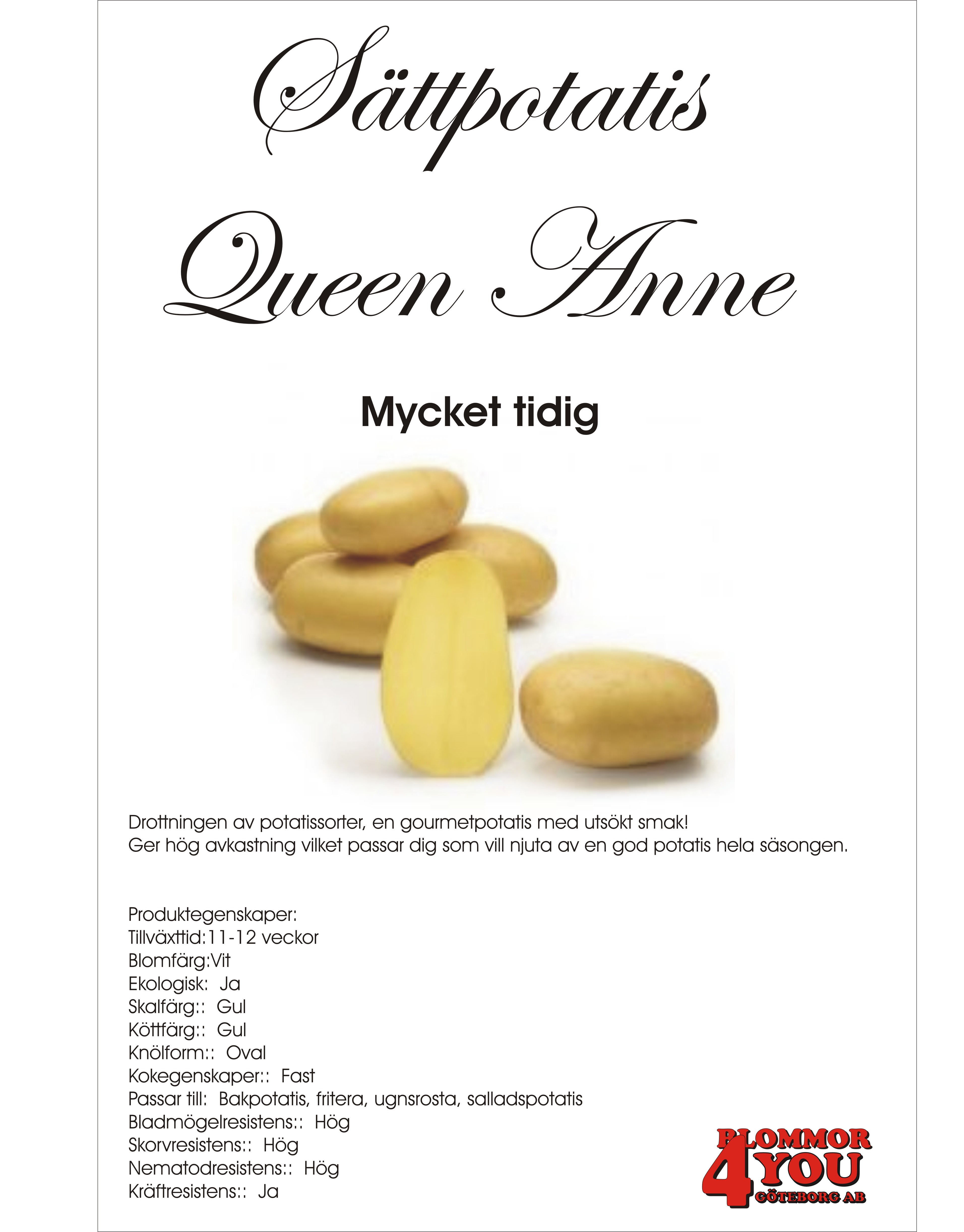 Sättpotatis Queen Anne 3kg  Årets Potatis! 2026