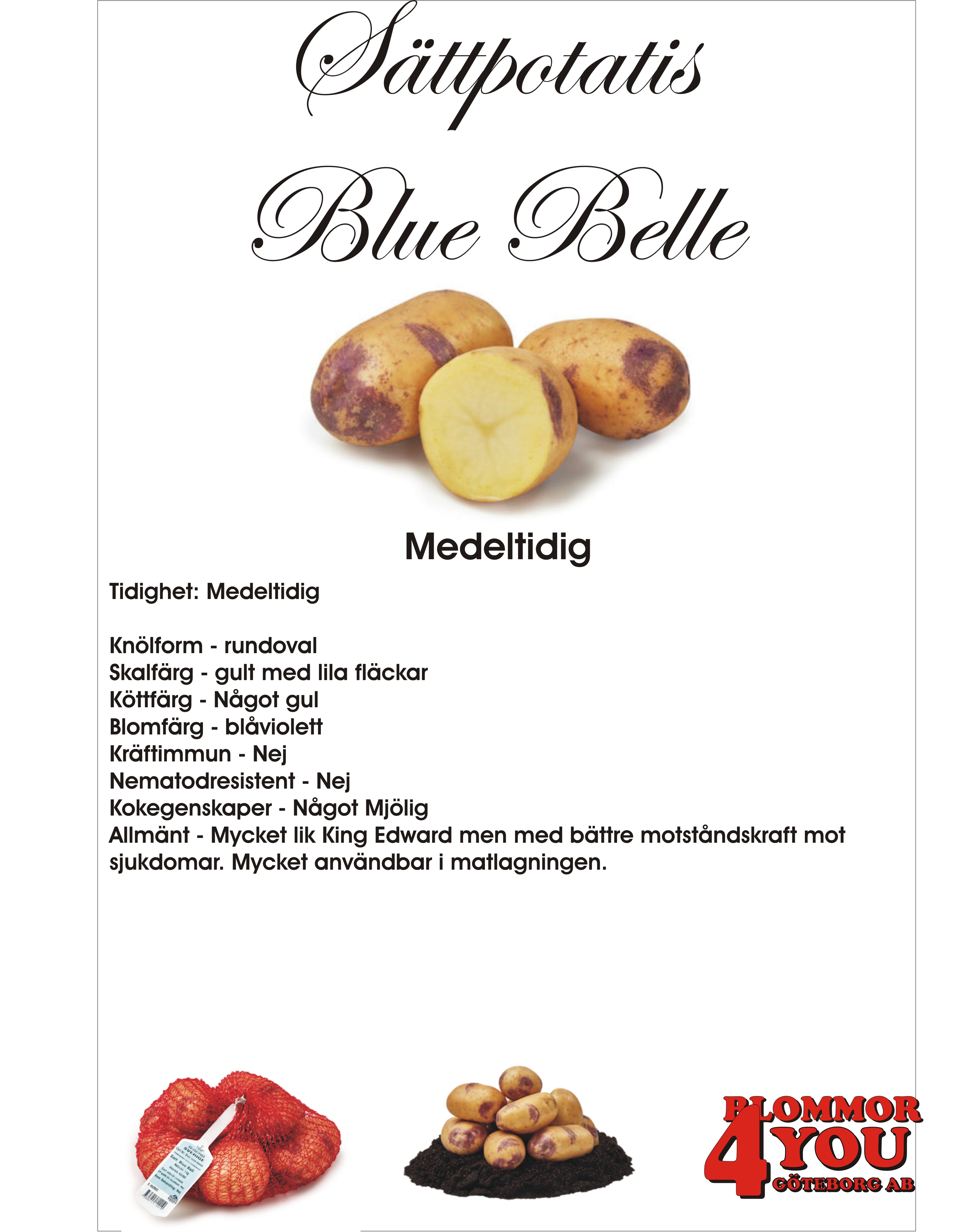 Sättpotatis Blue Belle  1 Kilo